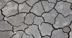 The effects of dehydration